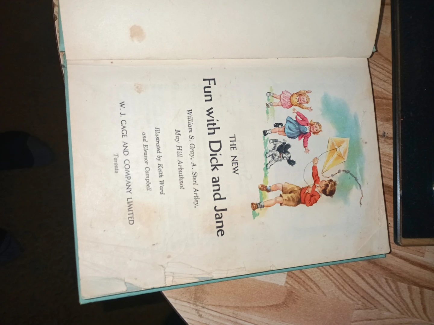 The New Fun with Dick and Jane Reader - photo 3