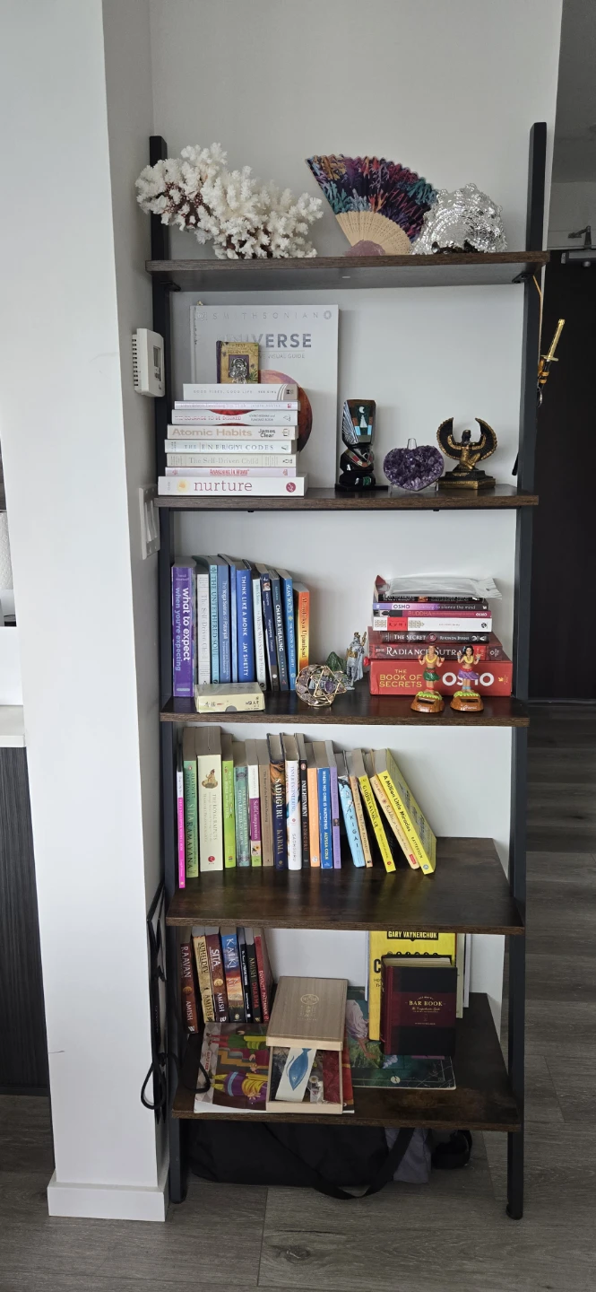 Ladder Bookshelf - Rustic Brown
