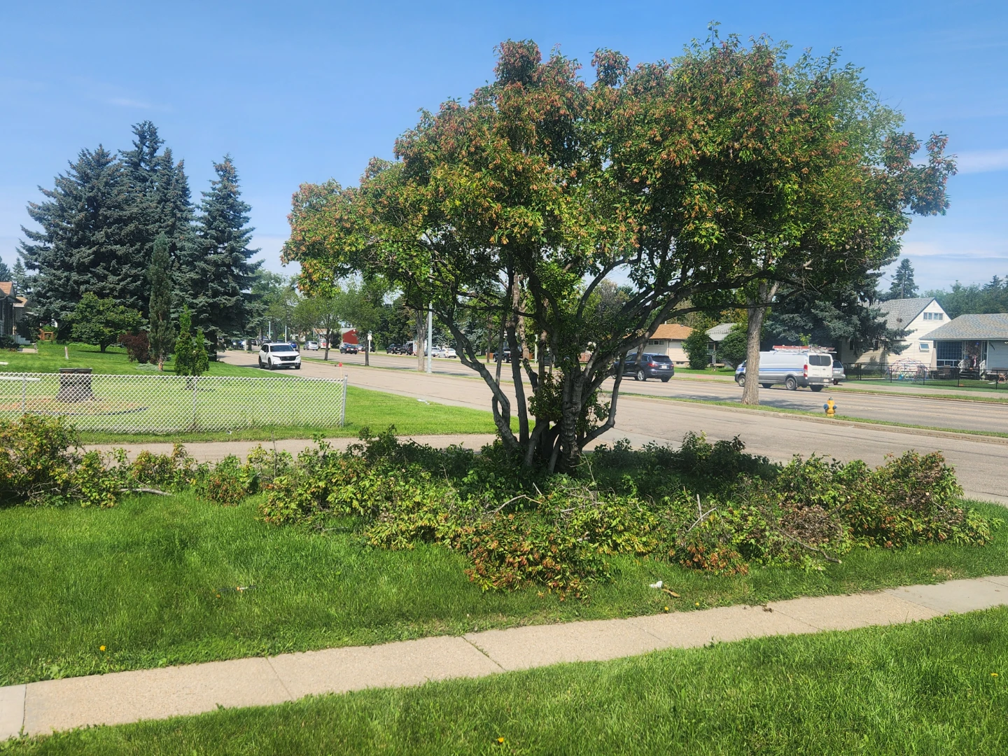 # Eavesthrough_Clean#Trimming_Trees #Windows_Wash#House_Wash#