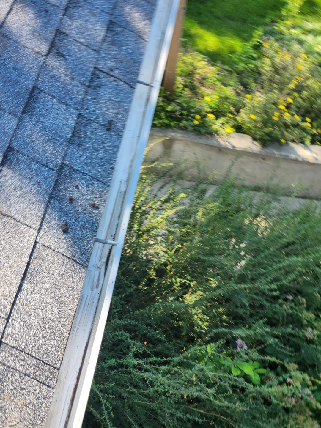 # Eavesthrough_Clean#Trimming_Trees #Windows_Wash#House_Wash# - photo 2