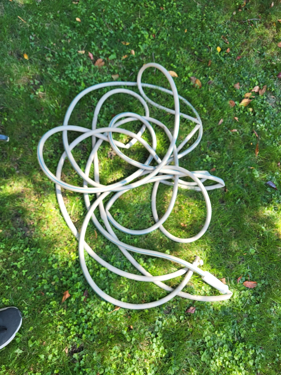 Garden Hose