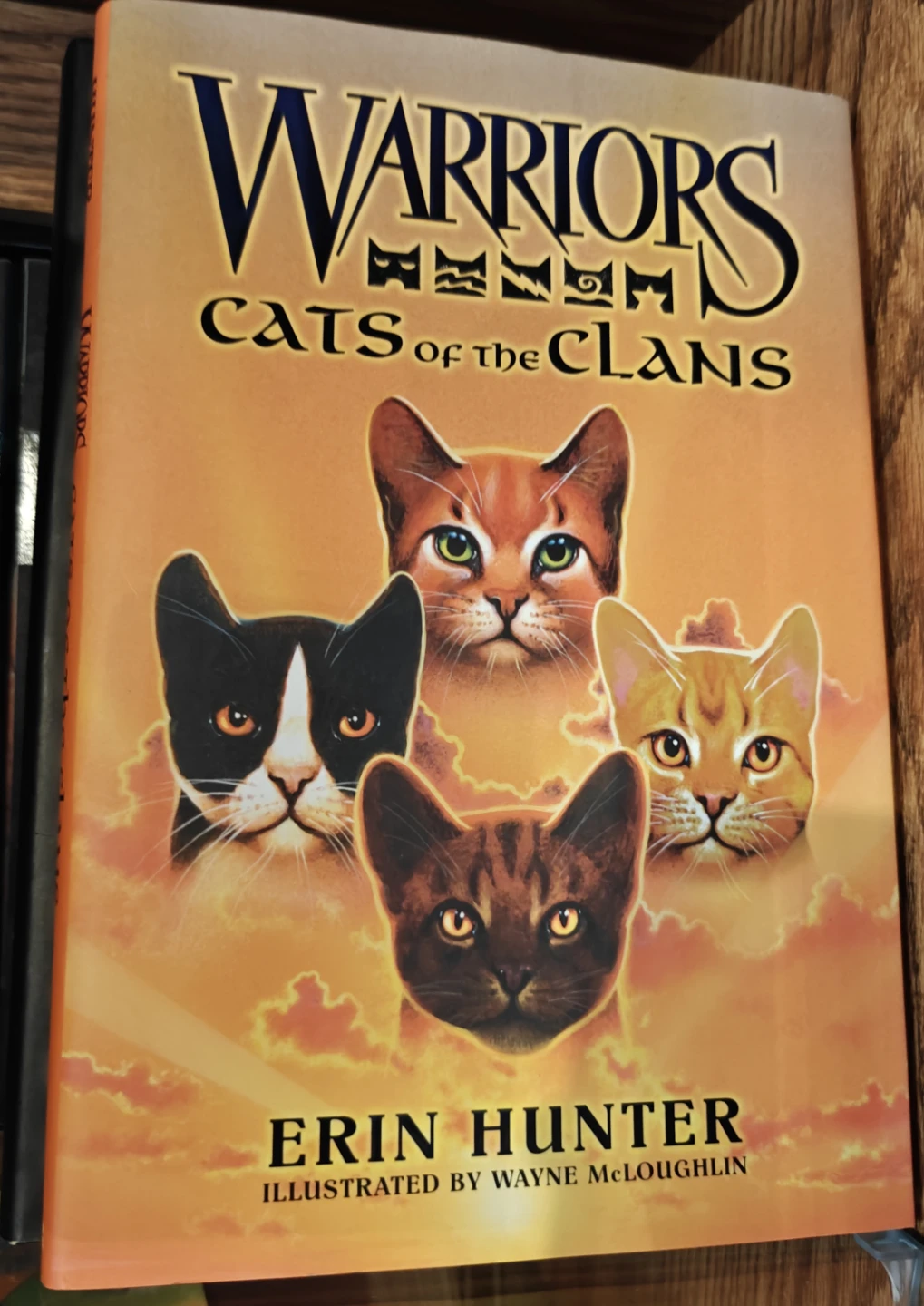 Warriors books by Erin Hunter - photo 4