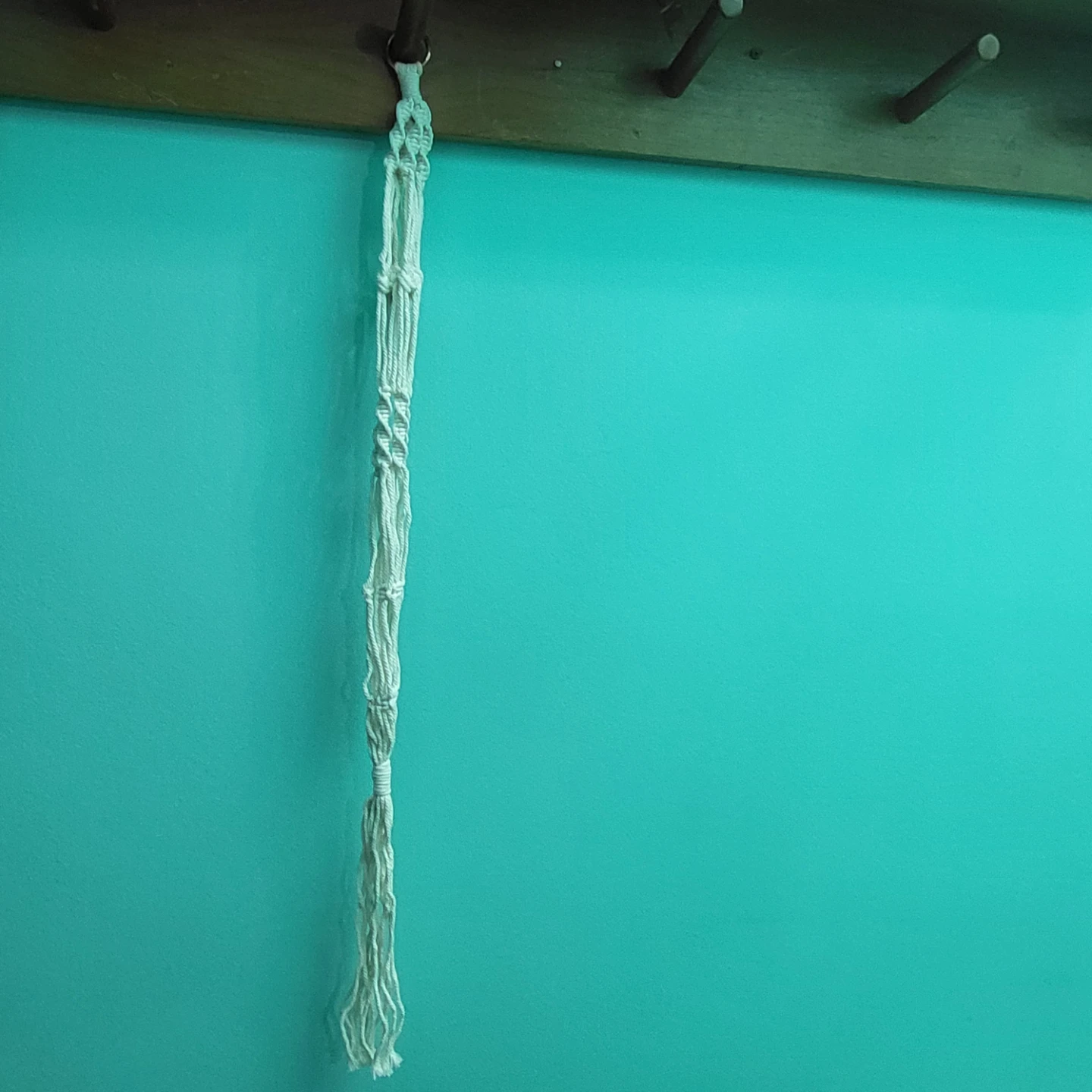 Macrame Plant Hanger