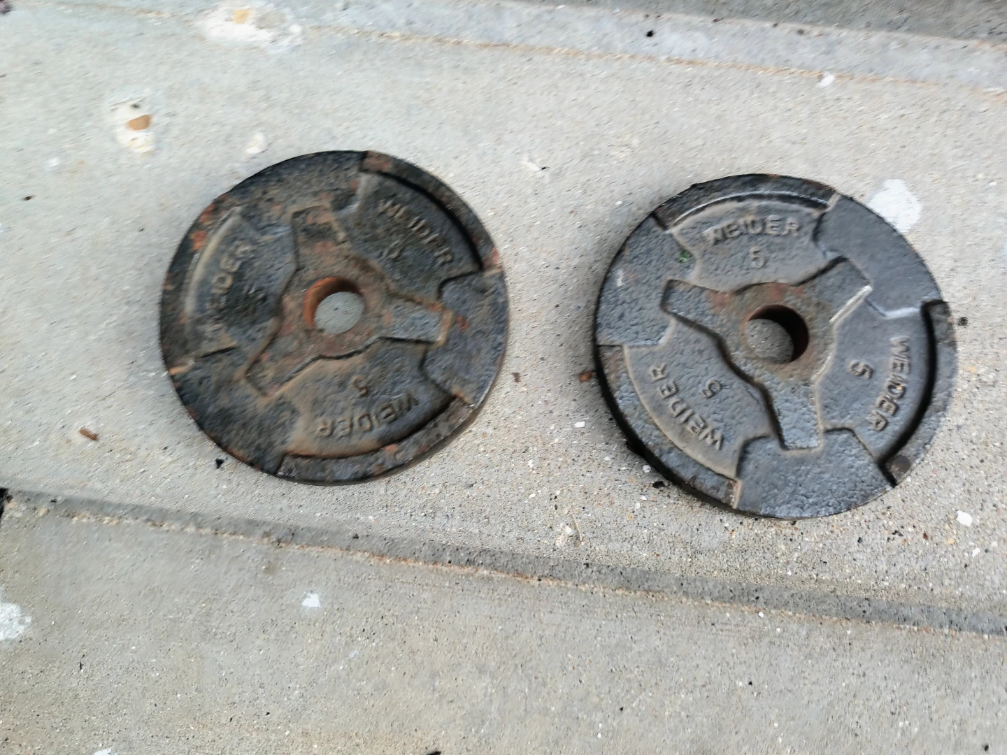 Weider 5 lb Weight Plates (Pair)