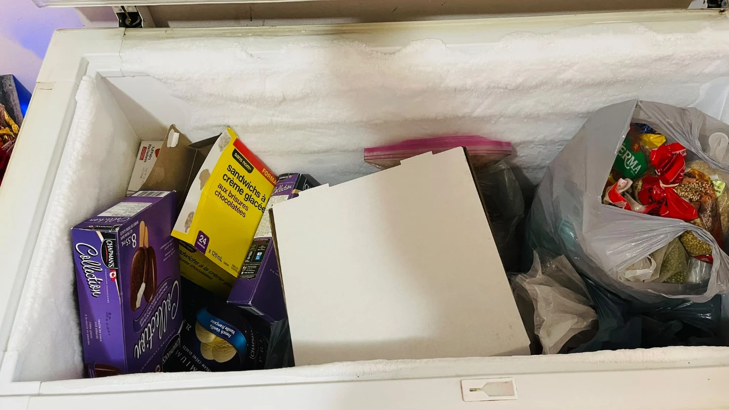 General Chest Freezer - photo 2