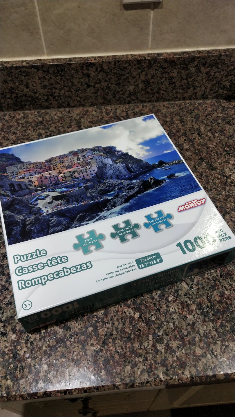 MONTOY 100 Piece Puzzle