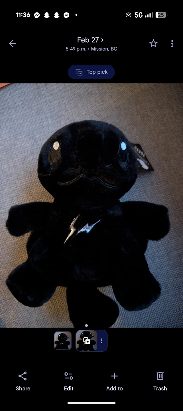 THUNDERBOLT PROJECT FRGMT & POKEMON TOKYO Black Plush