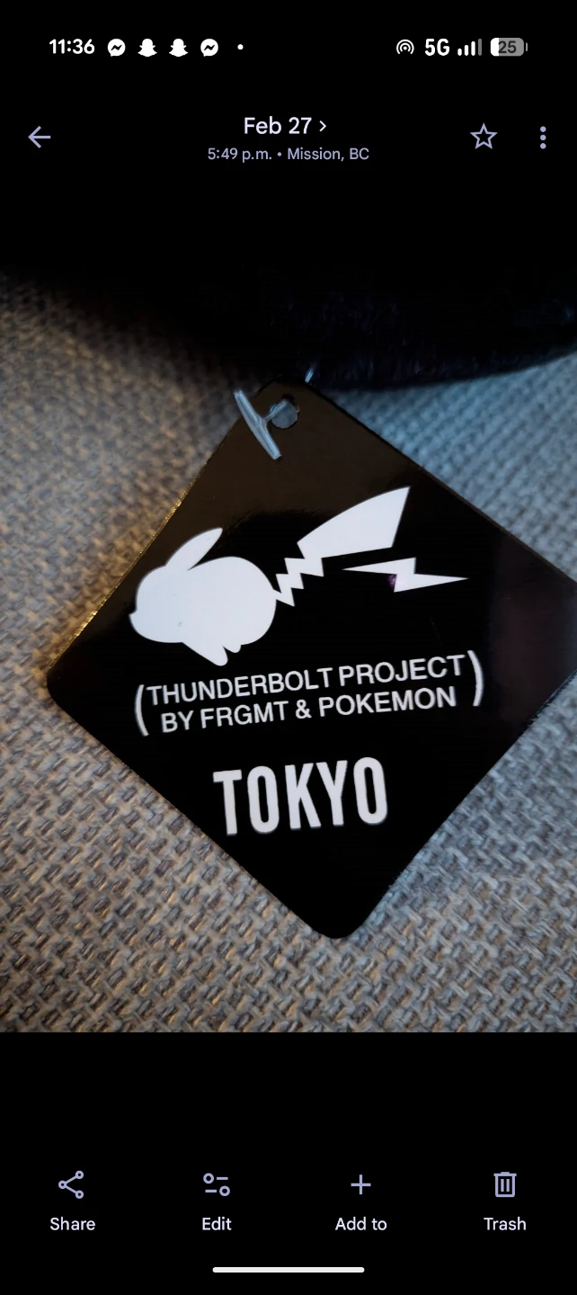 THUNDERBOLT PROJECT FRGMT & POKEMON TOKYO Black Plush - photo 2