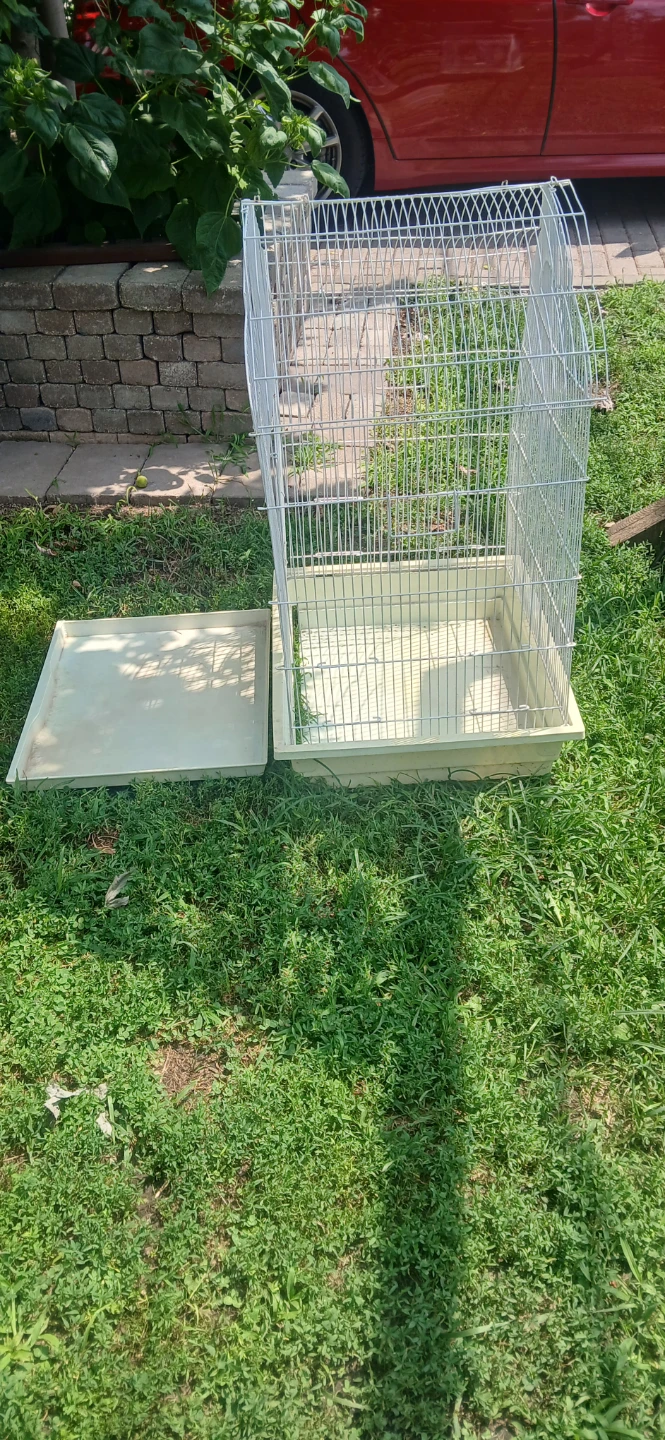Wire Bird Cage with Plastic Tray - photo 2