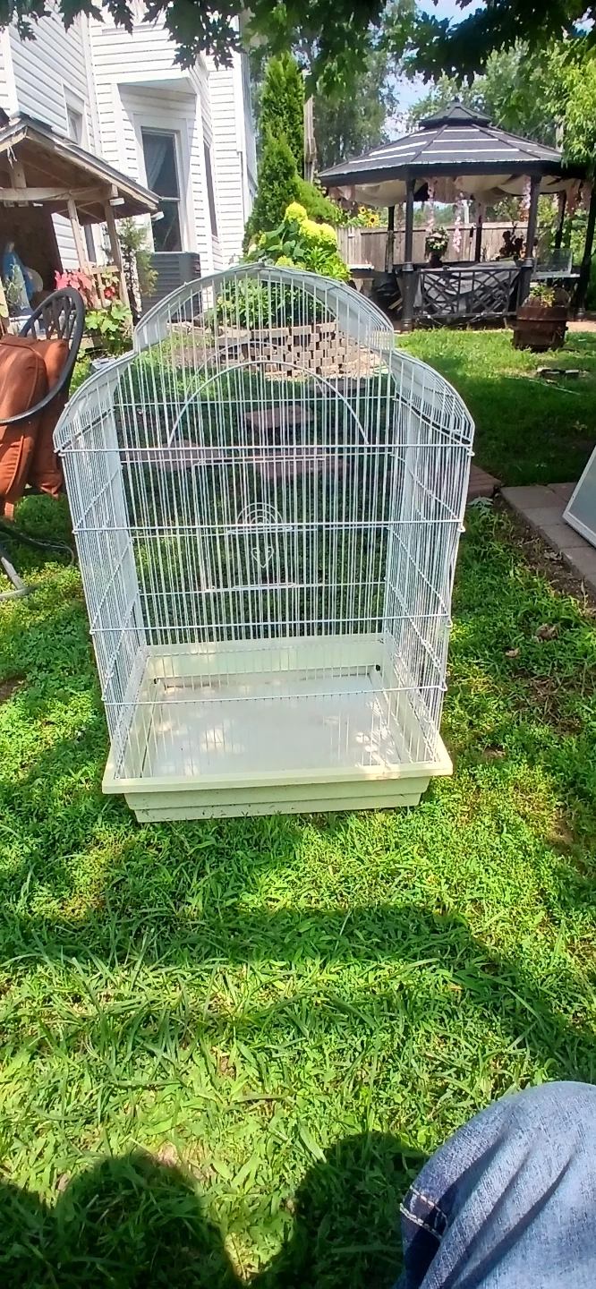 Wire Bird Cage with Plastic Tray - photo 3