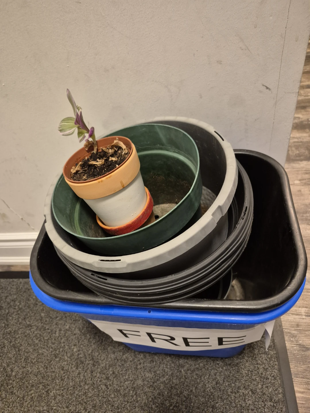 Free Plant Pots and recycling bins - photo 2
