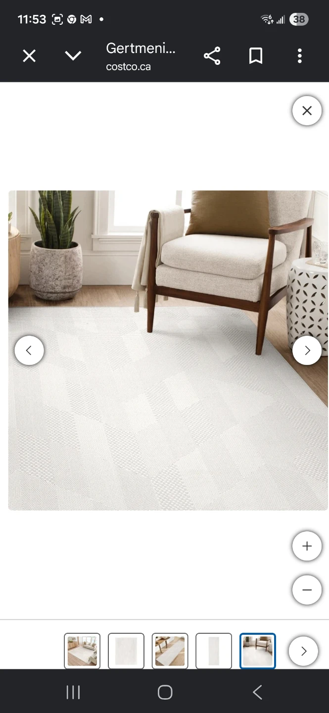Area rug 7/12 x  10/12 - photo 2