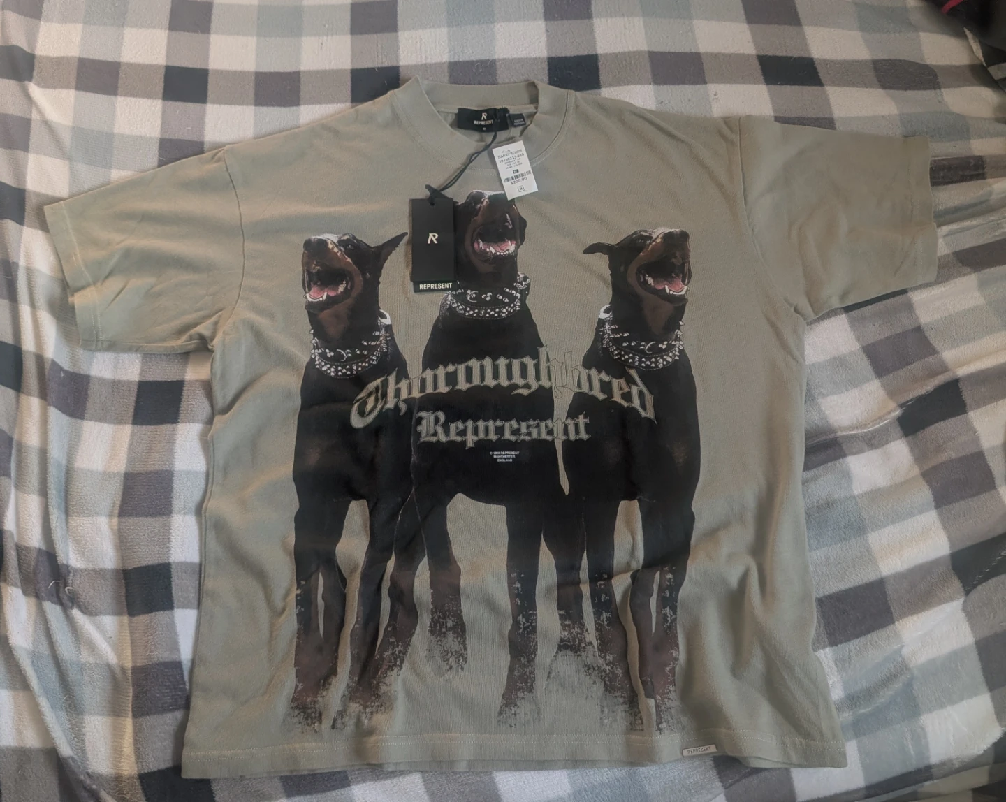 Represent T-Shirt - photo 2