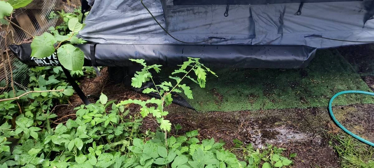 OVERLAND TRUCK TENT w/awning and change room - photo 3