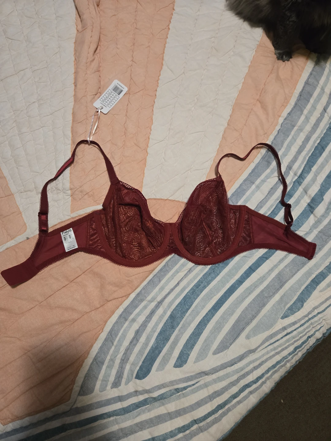 Freya Bra US 32H - photo 4