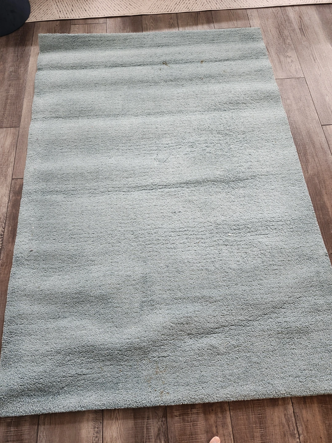 Light Blue Area Rug 5×8 - photo 3