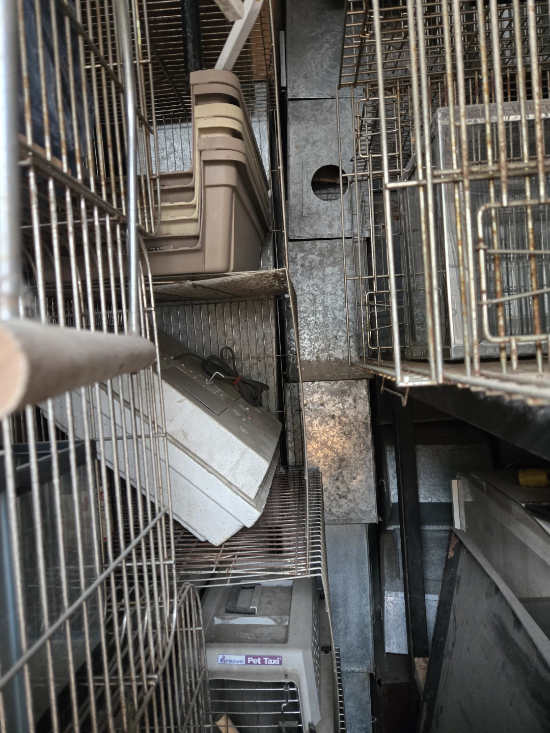 Assorted Cages and Pet Carriers - photo 3