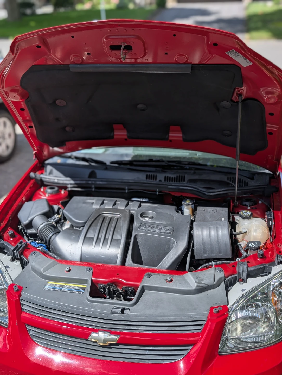 Engine Bay Cleaning - photo 4