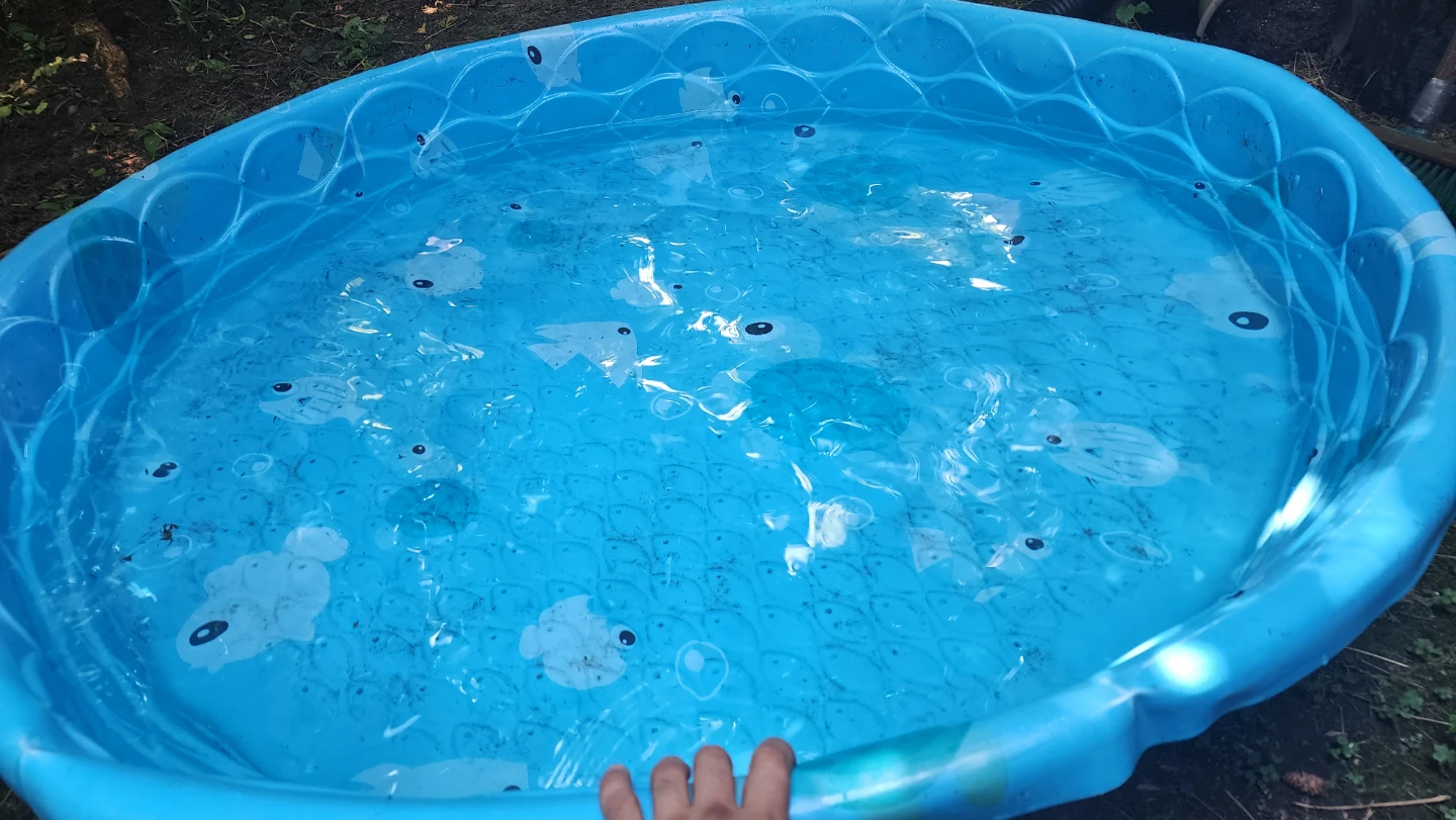 Doggy pool