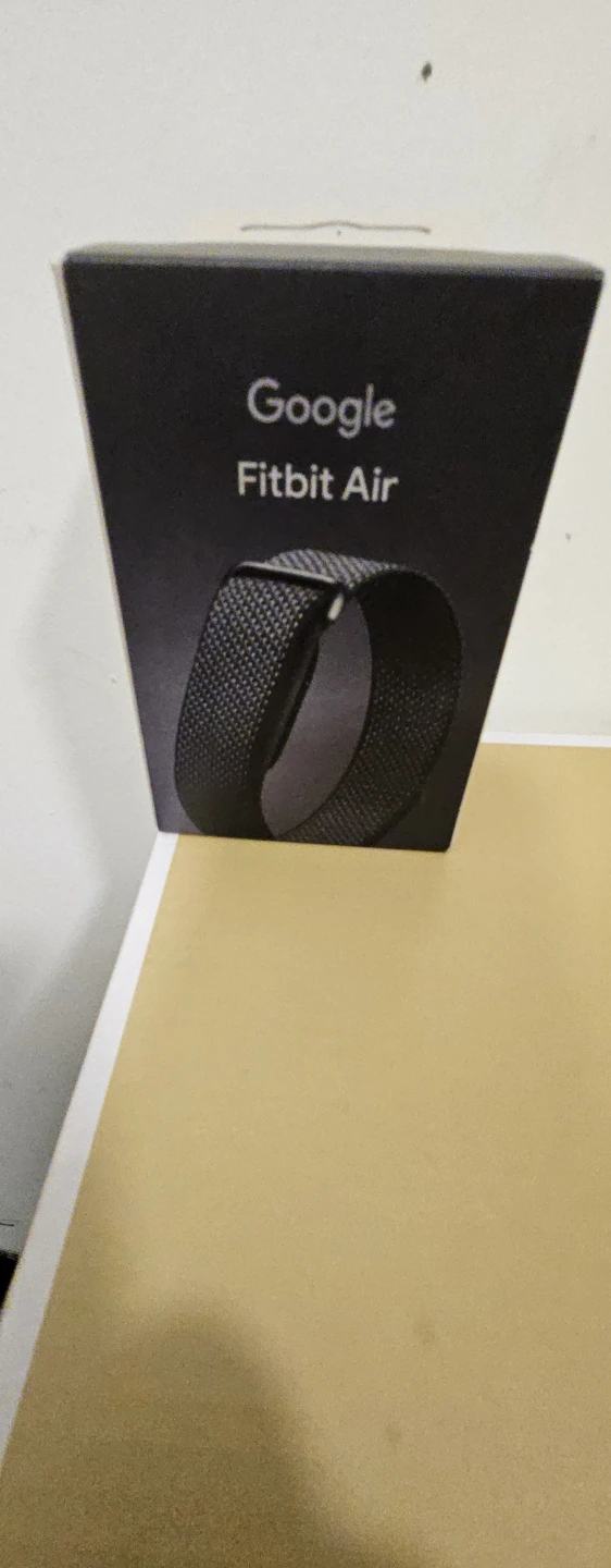 Google Fitbit Air Obsidian Performance Loop Band