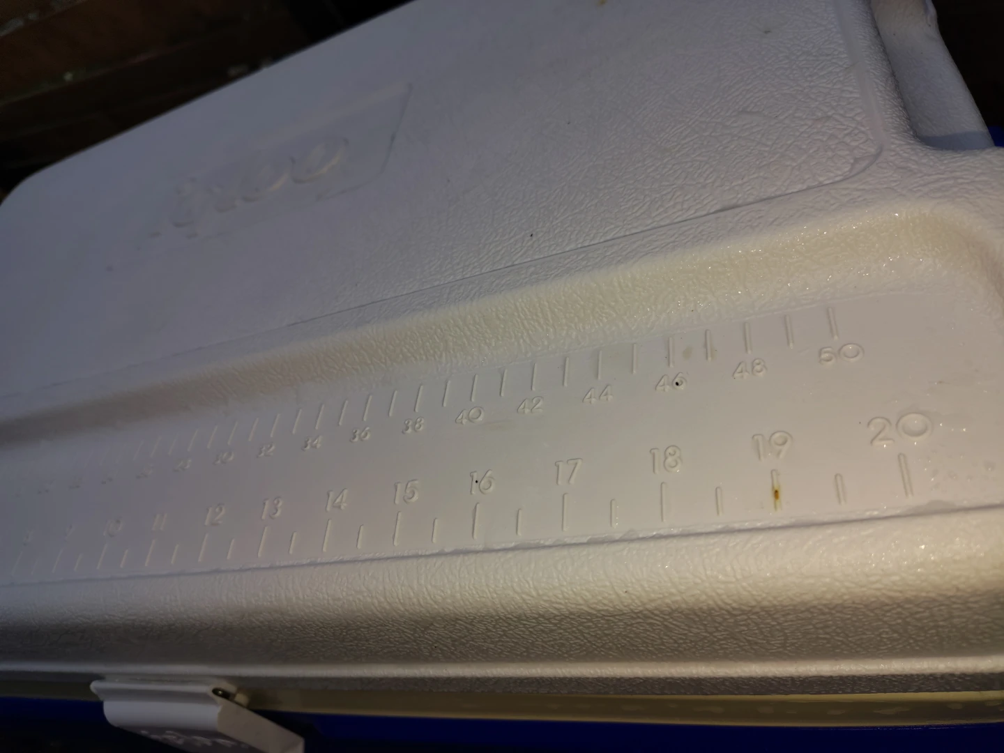 IGLOO LEGEND 58 qt Carry Cooler with Extras - photo 4