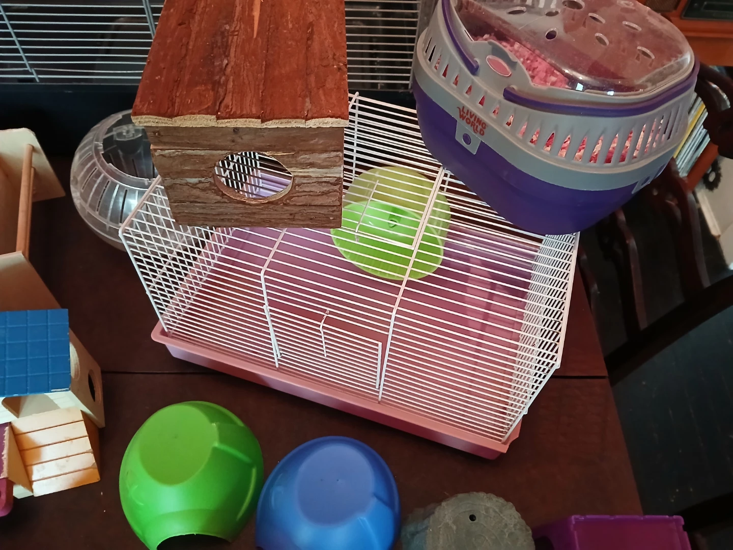Hamster package - photo 5