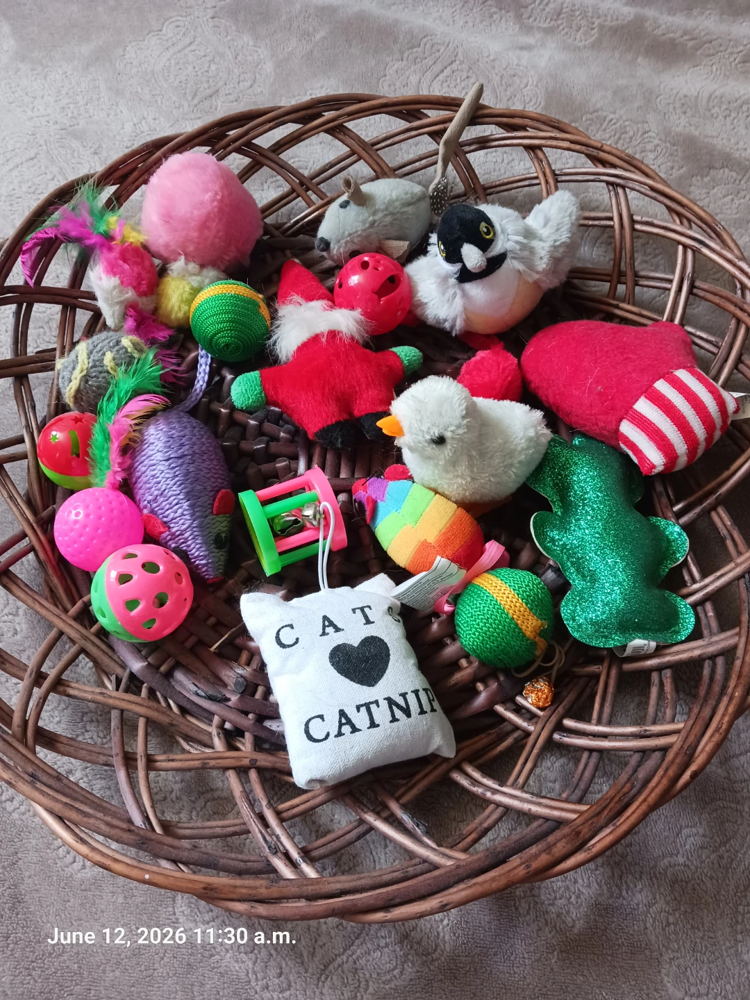 Assorted Cat Toys and Wooden Scratcher Toy - photo 2