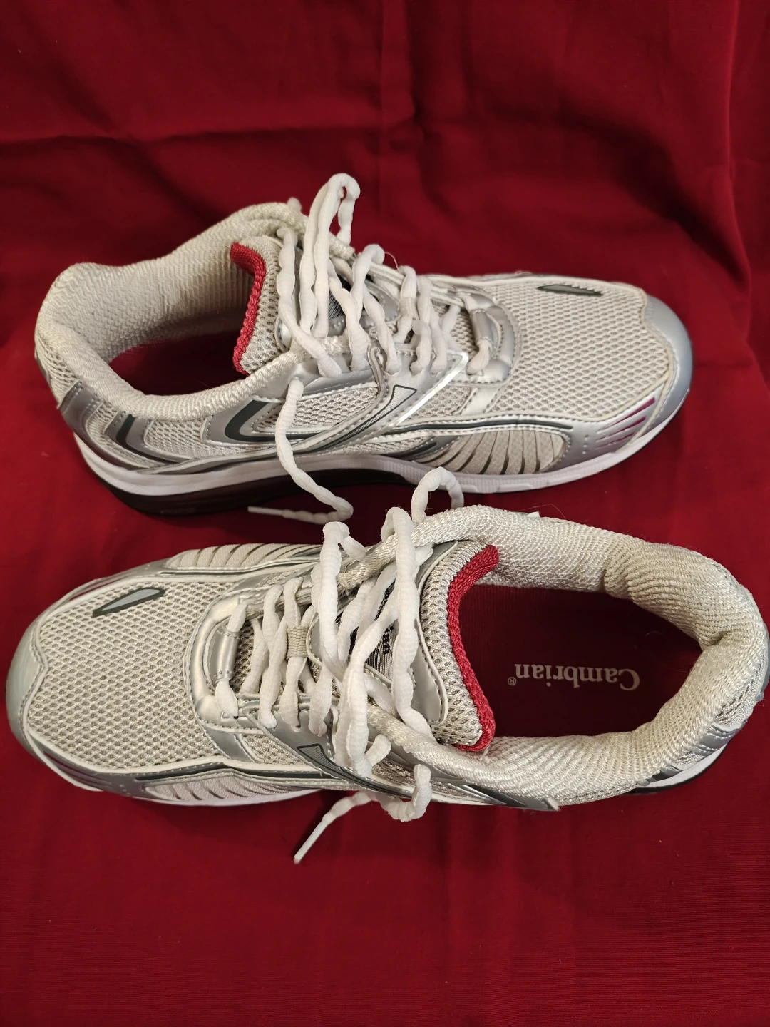 Cambrian Genesis Women's Silver Raspberry Shoes - photo 3