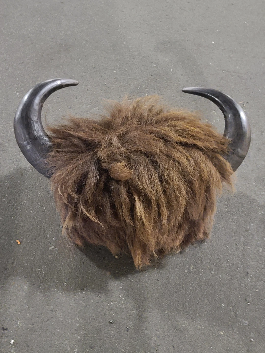 Buffalo Horns to mount on wall
