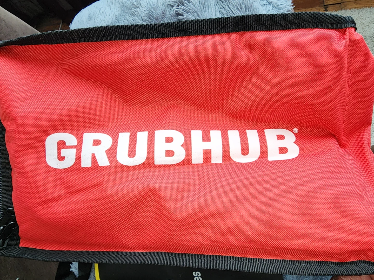 Postmates and Grubhub Insulated Delivery Bags - photo 3