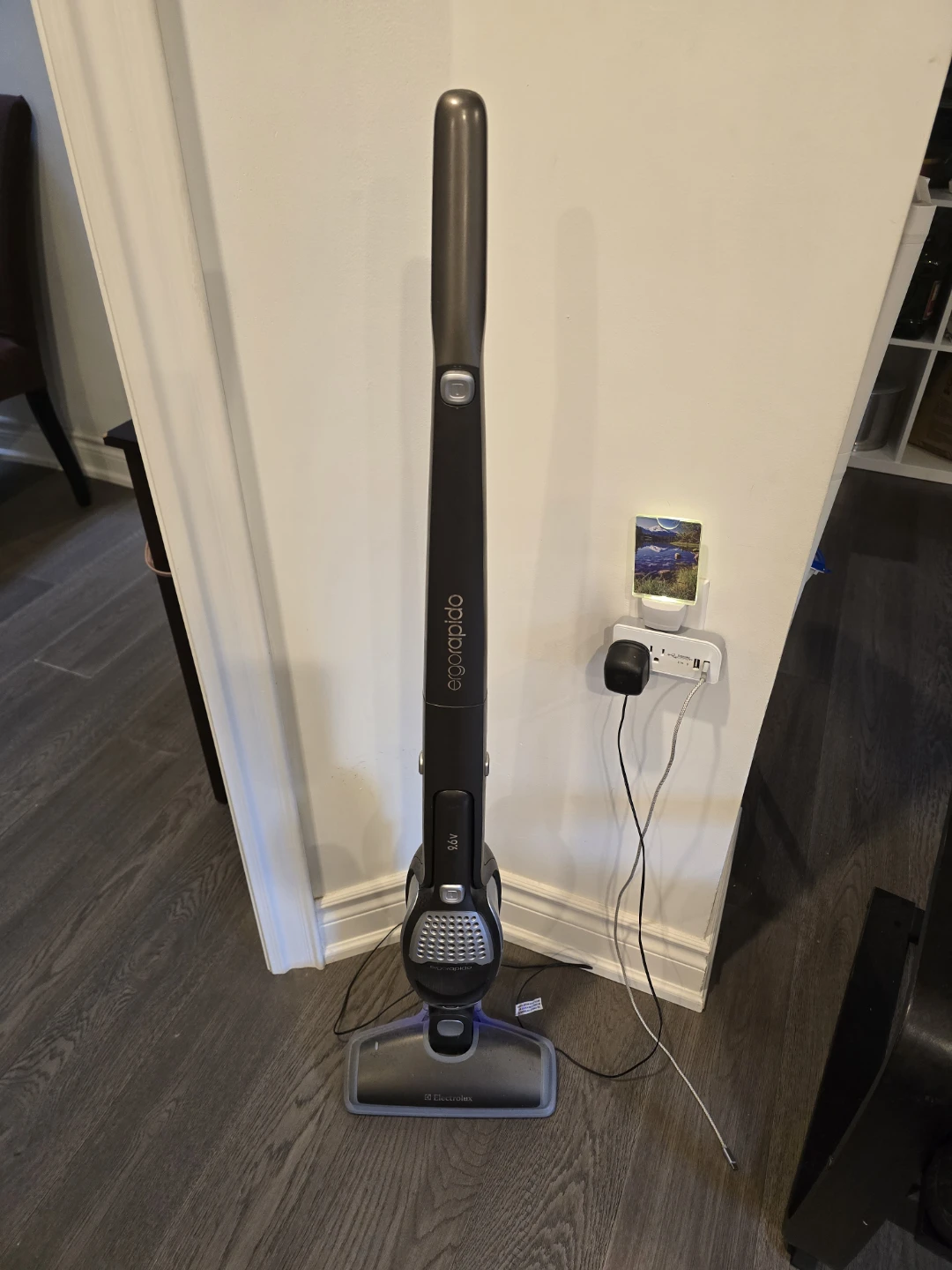 Electrolux Ergorapido 9.6V Handheld Vacuum