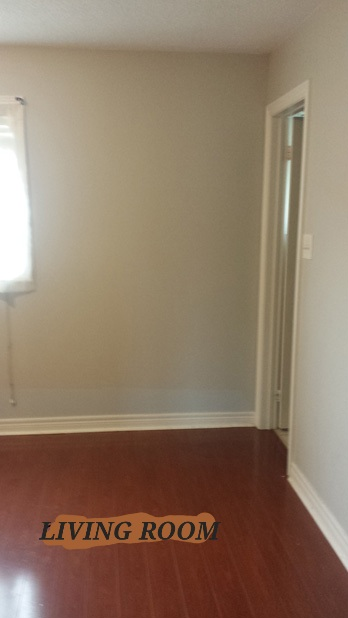 1 Bedroom Basement Apt in Brampton