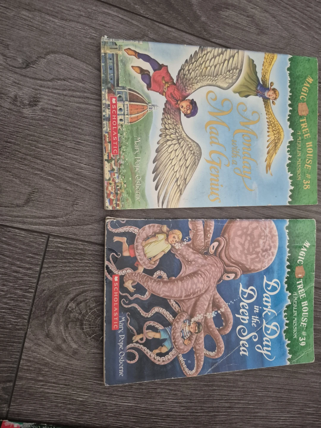 Magic Tree House Books Collection - photo 3