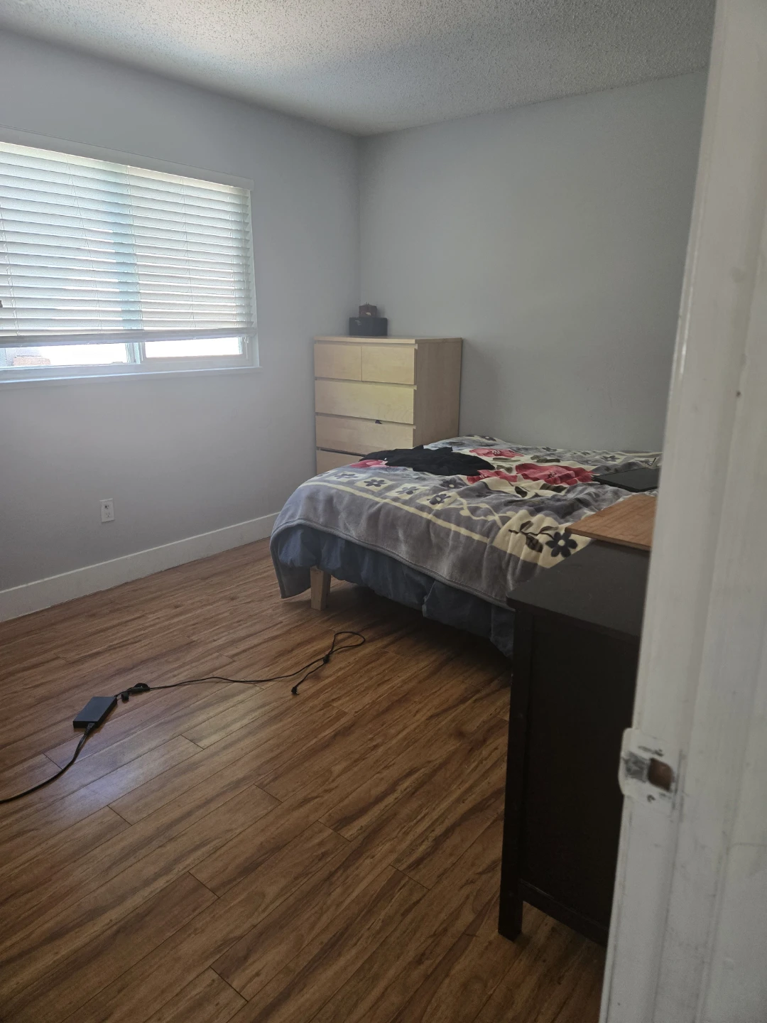 1 room Basement for rent - photo 3