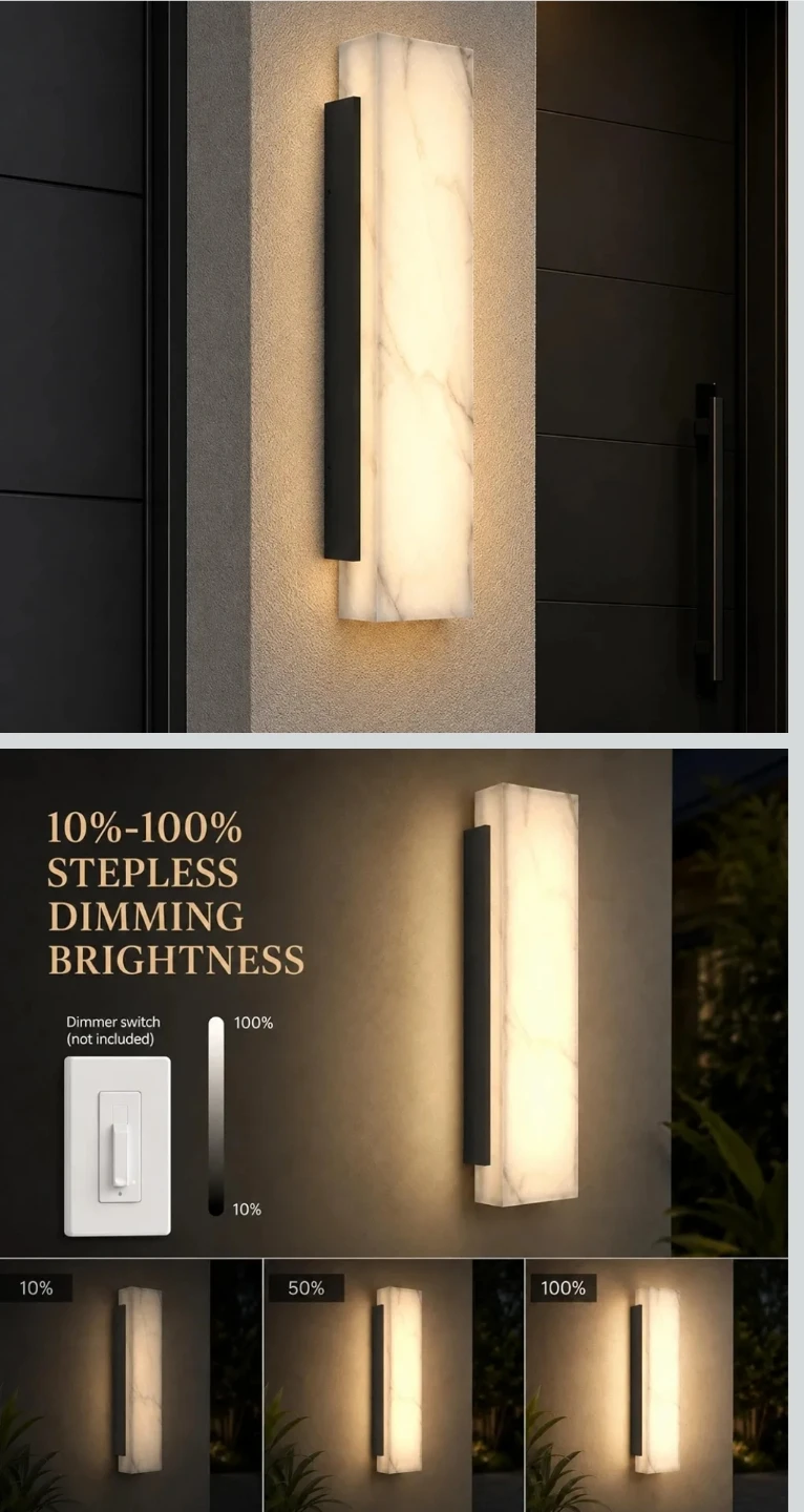 Modern LED Wall Sconce Light Fixture