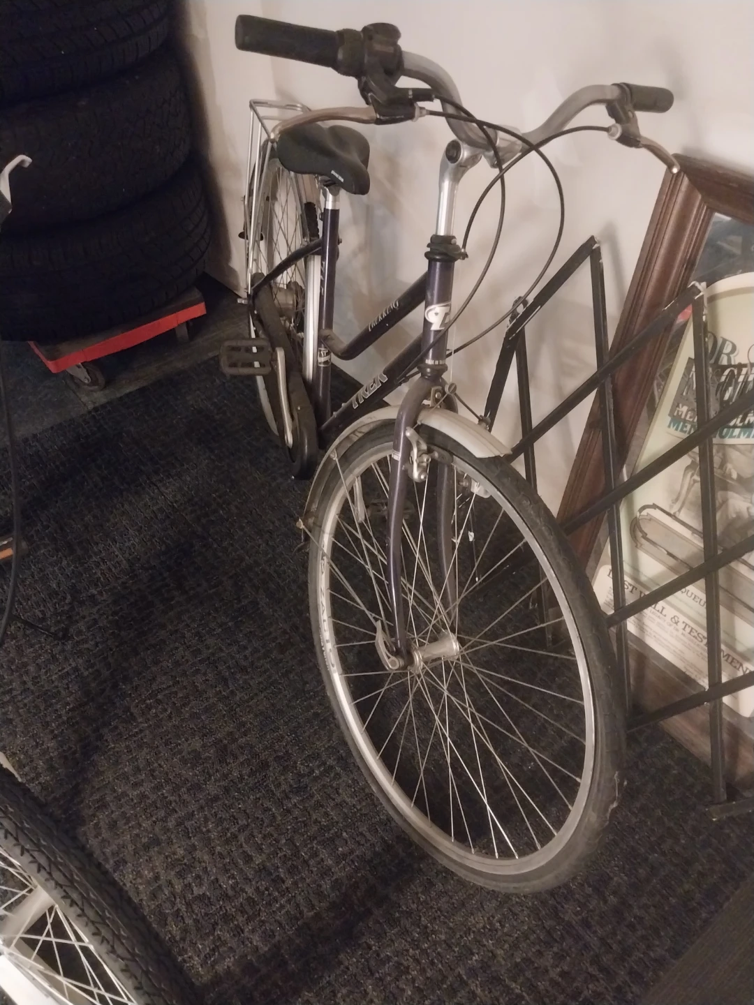 Trek Cruiser Bicycle