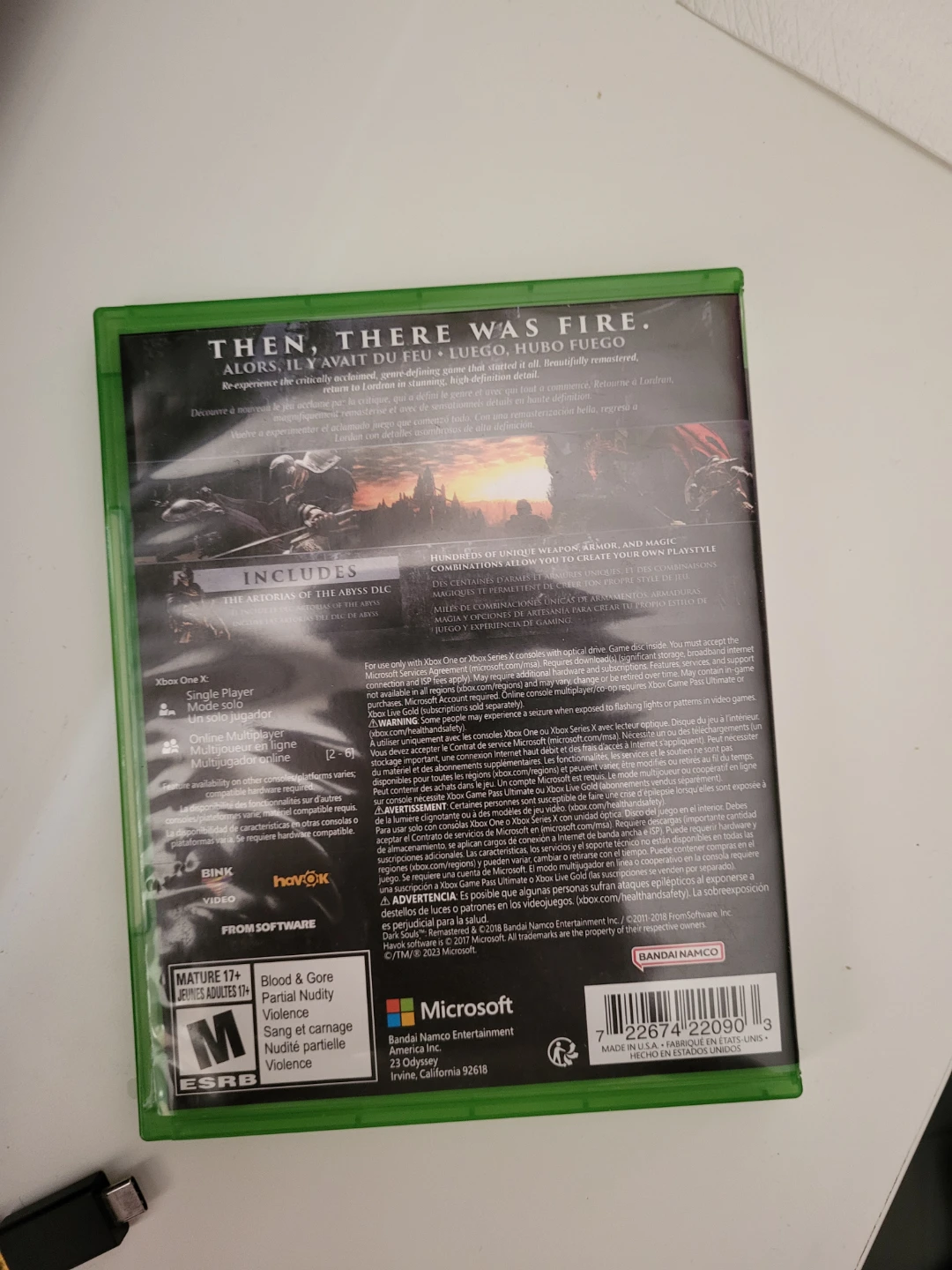 Dark Souls Remastered - photo 3