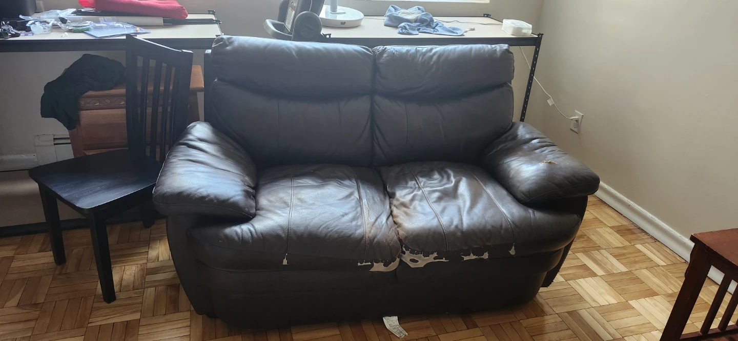 Free leather loveseat