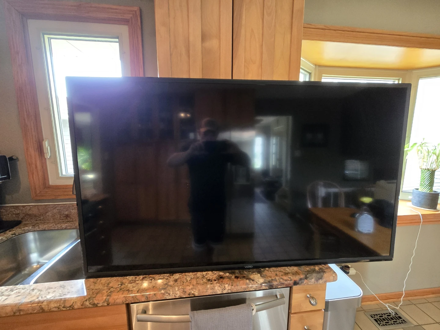 VIZIO Smart TV (2019 V556-G1 / 55" V-Series 4k)