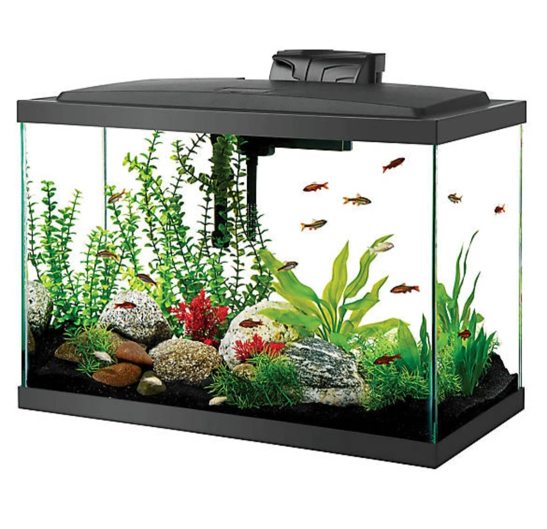 Aquarium Tank - 20 Gallon - photo 2