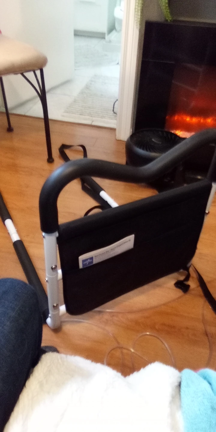 Bed Assist Rail - photo 3