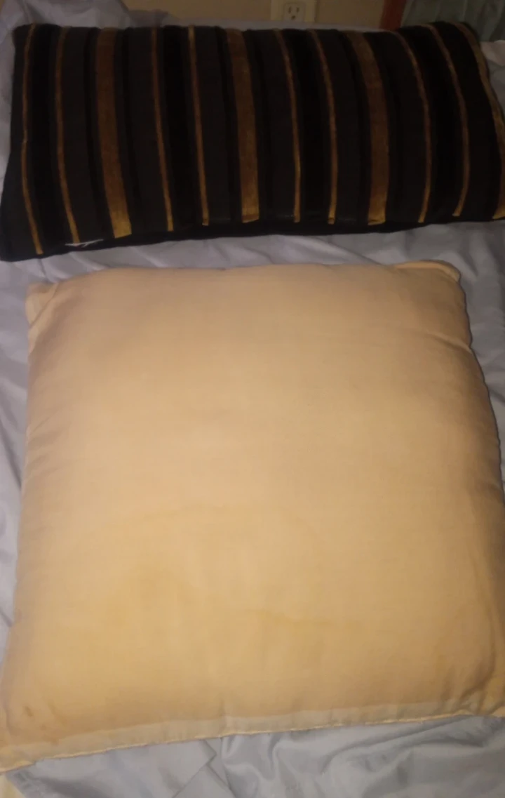Throw Pillow Set