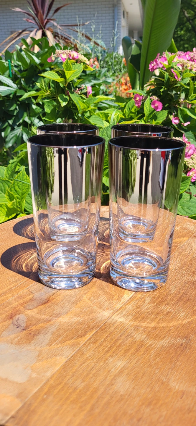 Dorothy Thorpe Mercury Fade Tumblers (Set of 4)