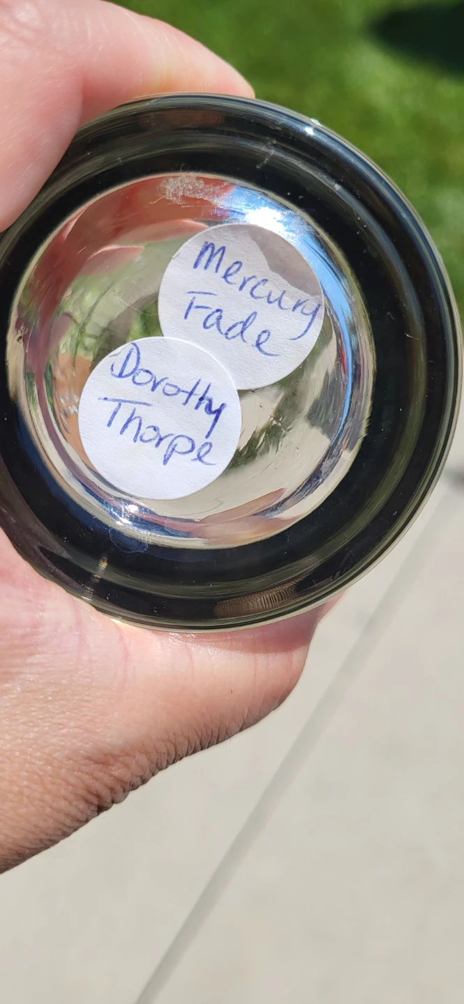 Dorothy Thorpe Mercury Fade Tumblers (Set of 4) - photo 3