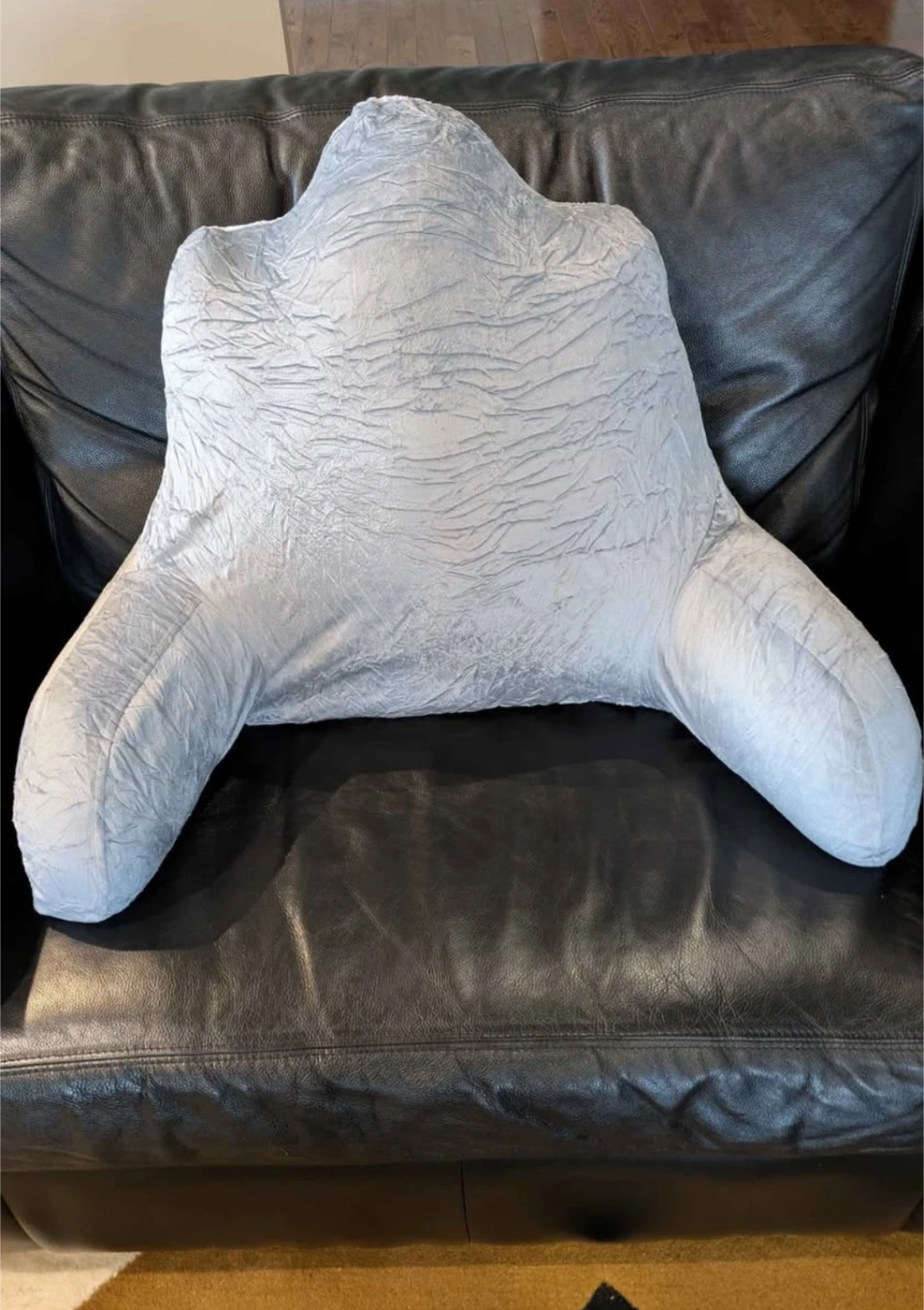 READING PILLOW (Brand New) - photo 3