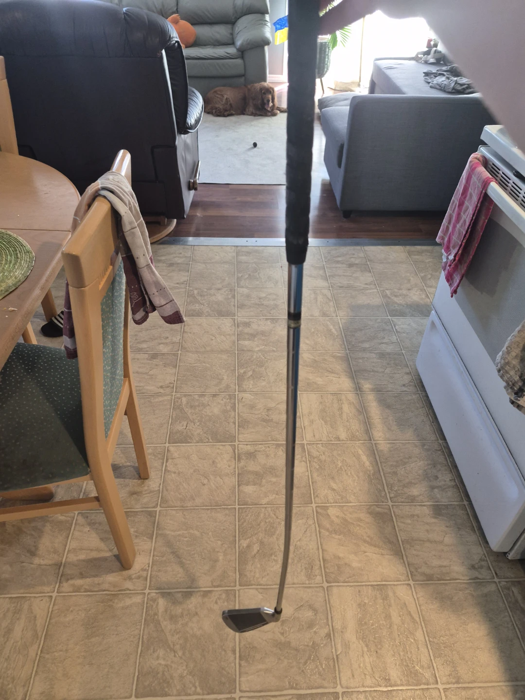 Arnold Palmer Arnie's Own Oversize 3 Iron Golf Club - photo 4