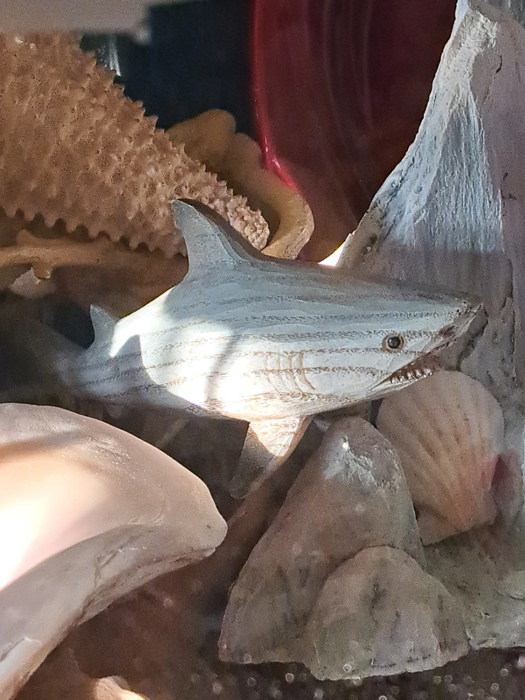 Great White Shark decoration