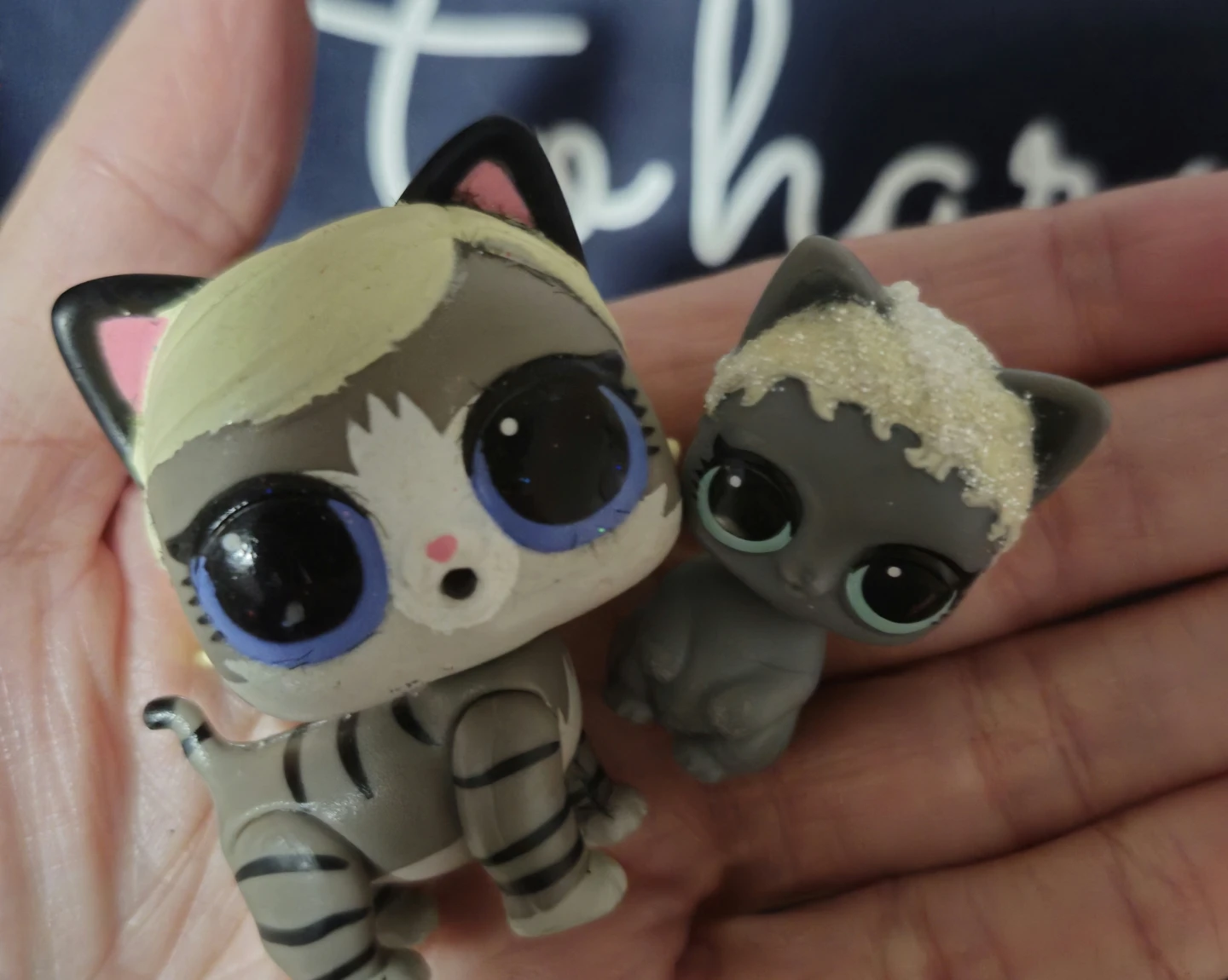 $5 both lol.pets - photo 2