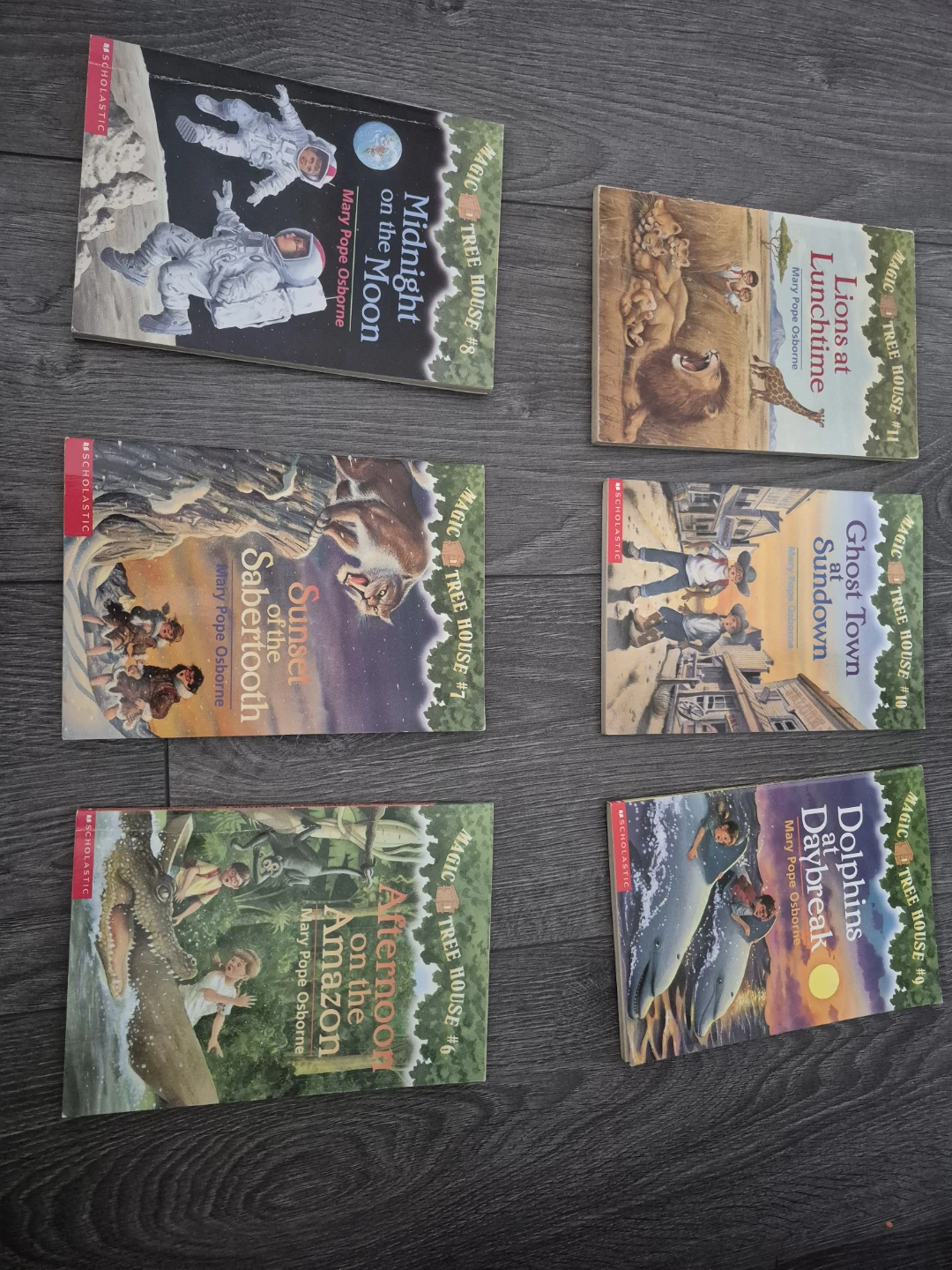 Magic Tree House Books (1-11) by Mary Pope Osborne - photo 2