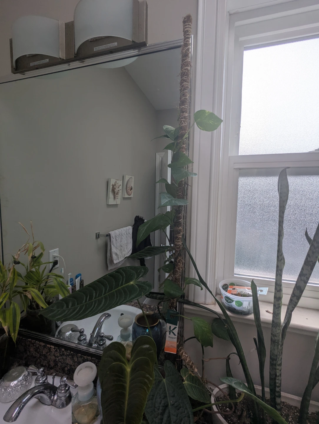 Bendable Moss pole - photo 4